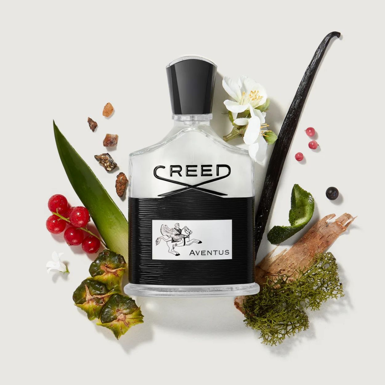 Creed Aventus parfémovaná voda pro muže 100 ml