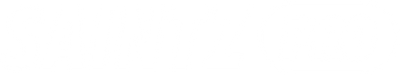 SAINTZ PRO
