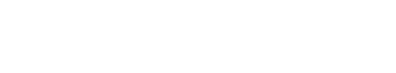 Banner Logo